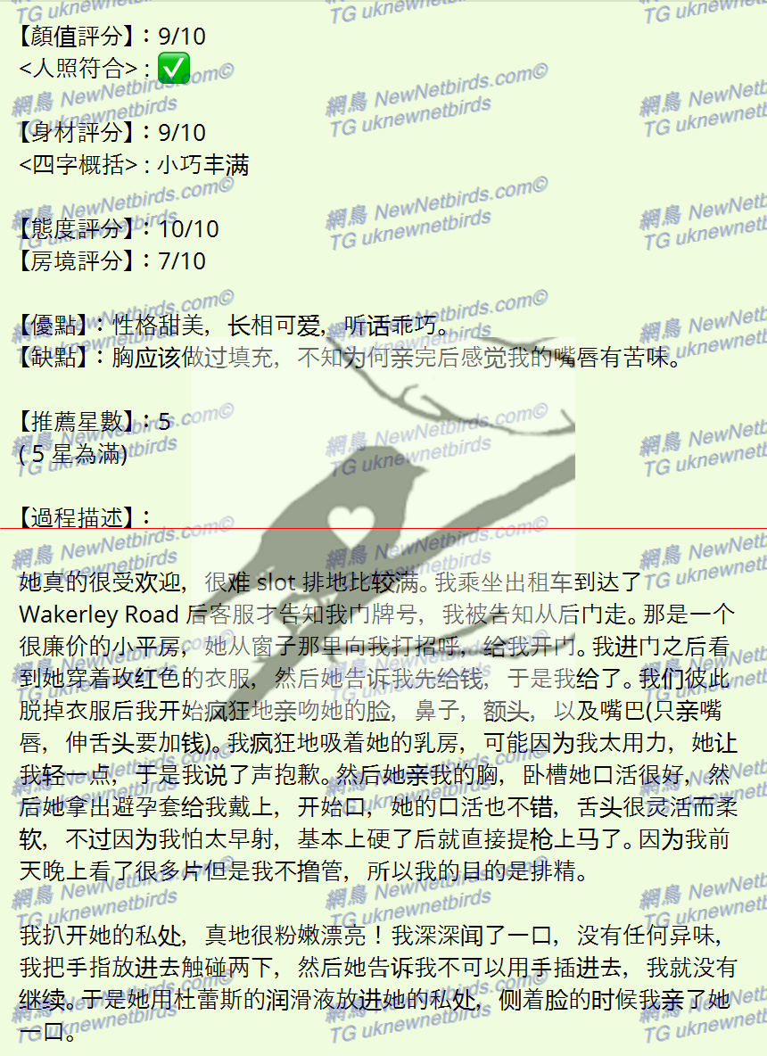 戰號 335 2.png